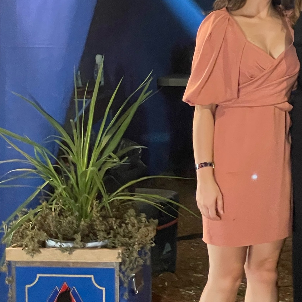 ASOS balloon sleeve dress with back tie. Terracotta